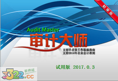 審計大師v13試用版