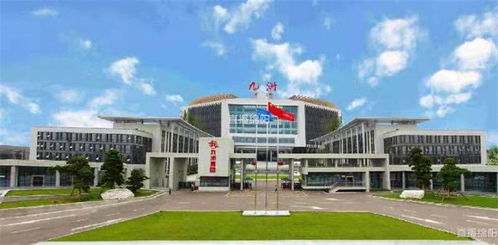 突破300億 九洲邁上高質量發展 快車道